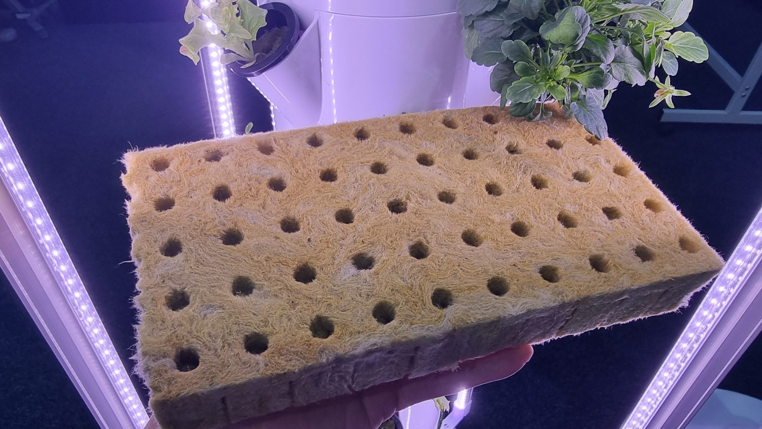 Rockwool Stonewool for Hydroponics