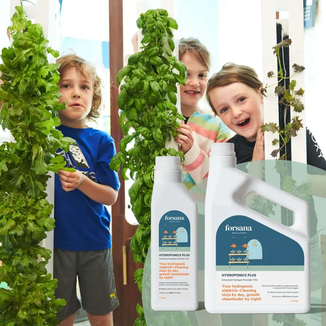 Algae Control Forsana Hydroponics Plus Hydrogen Peroxide.