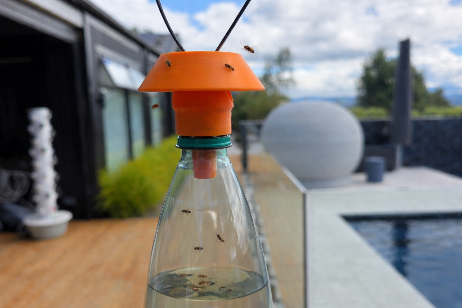 Fruit Fly Trap