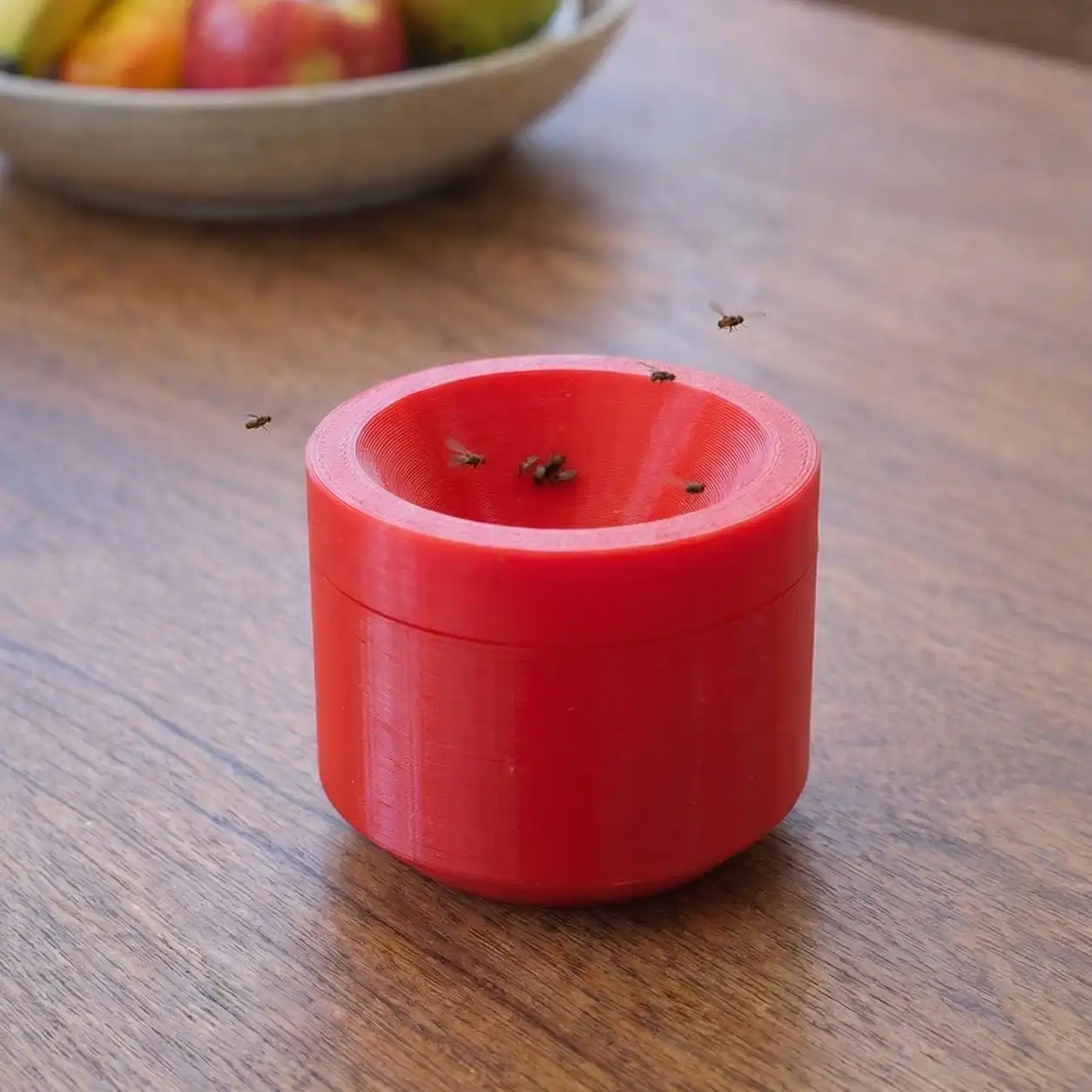Indoor Fruit Flies around fruit and vegatables